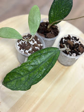 Kép betöltése a galériamegjelenítőbe: Last Day Flash Sale - 3. csomag -35% kedvezmény
