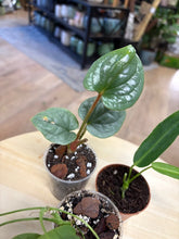 Kép betöltése a galériamegjelenítőbe: Last Day Flash Sale - 11. csomag -30% kedvezmény
