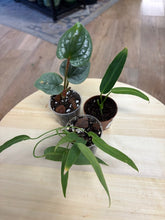 Kép betöltése a galériamegjelenítőbe: Last Day Flash Sale - 11. csomag -30% kedvezmény
