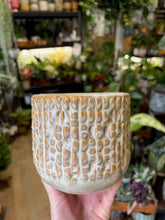 Kép betöltése a galériamegjelenítőbe: _Isa kerámia kaspó bézs - 2 méretben - Tropical Home 
