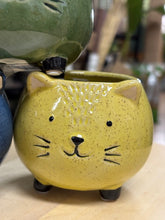 Kép betöltése a galériamegjelenítőbe: _Cat kerámia kaspó, többféle - Tropical Home 
