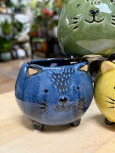 Kép betöltése a galériamegjelenítőbe: _Cat kerámia kaspó, többféle - Tropical Home 
