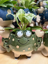 Kép betöltése a galériamegjelenítőbe: _Mini kaspó "Tengeri herkentyűk" - 9 féle - Tropical Home 
