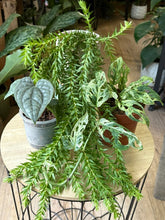 Kép betöltése a galériamegjelenítőbe: Flash Sale Friday - 11. csomag -25% kedvezmény - Tropical Home 

